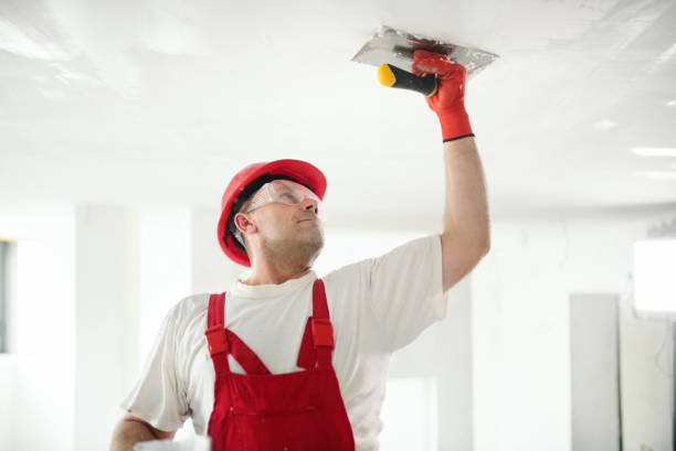 Best Interior Painting  in Mount Vernon, KY